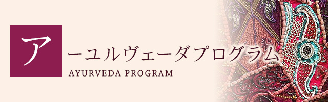 決定版!アーユルヴェーダのアンチエイジング―すぐに試せるアーユルヴェーダ養生法 決定版アーユルヴェーダのアンチエイジング─すぐに試せる